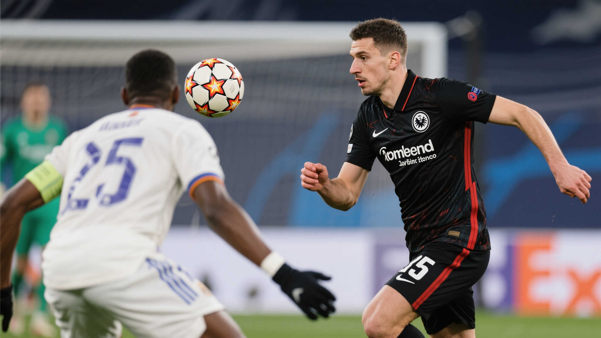 由于巴萨目 由于巴萨目